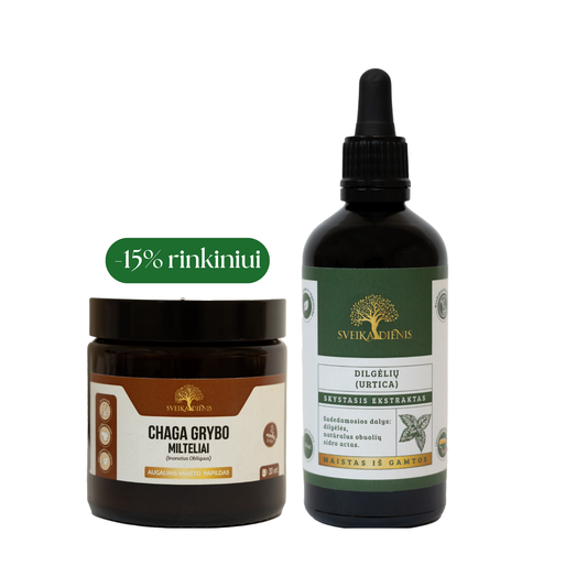 Imunitetą stiprinantis rinkinys: Chaga grybas 30g + Dilgėlių ekstraktas