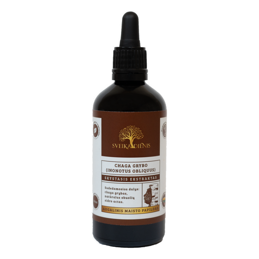 Chaga grybo ekstraktas