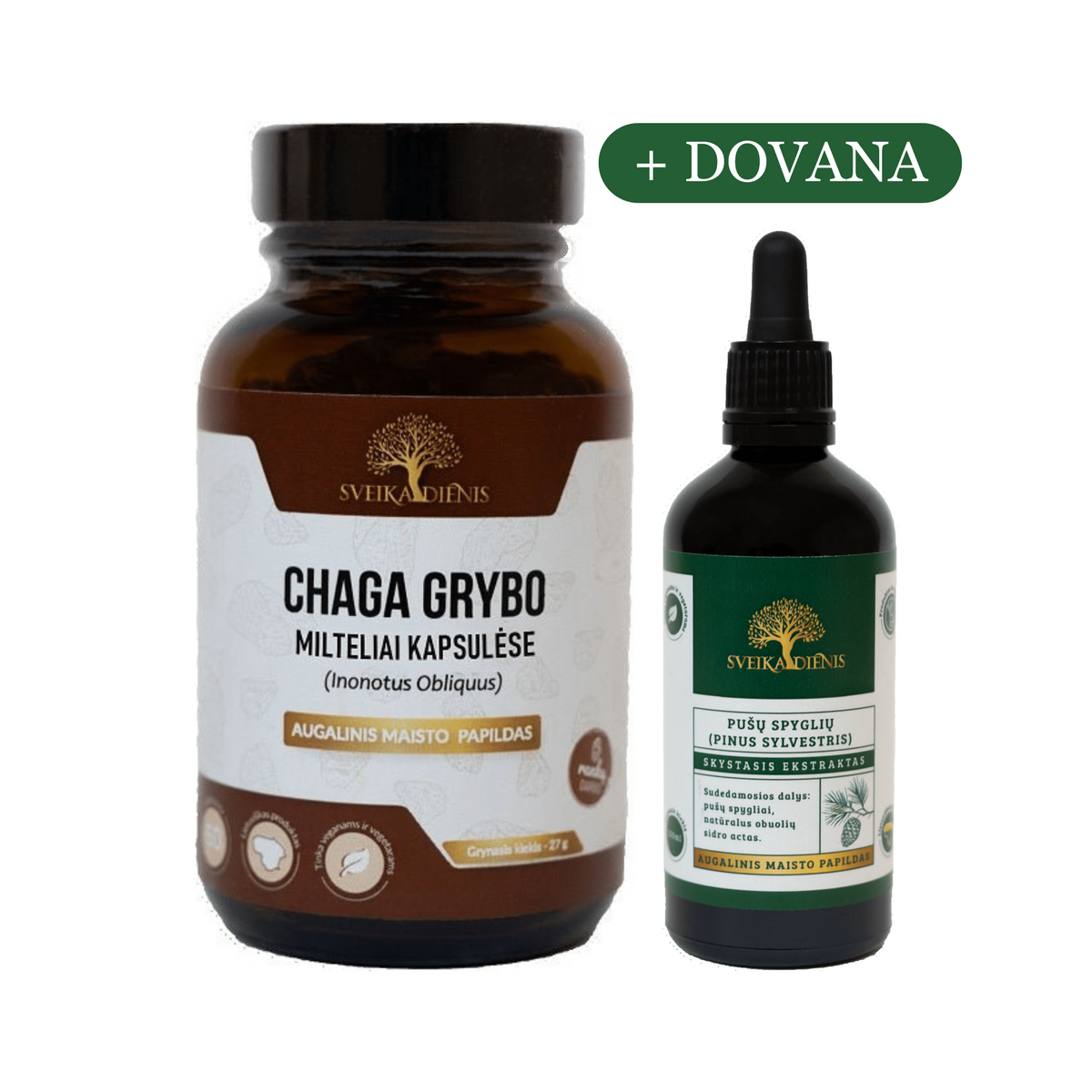 Chaga grybas + DOVANA (Pušų spyglių ekstraktas)