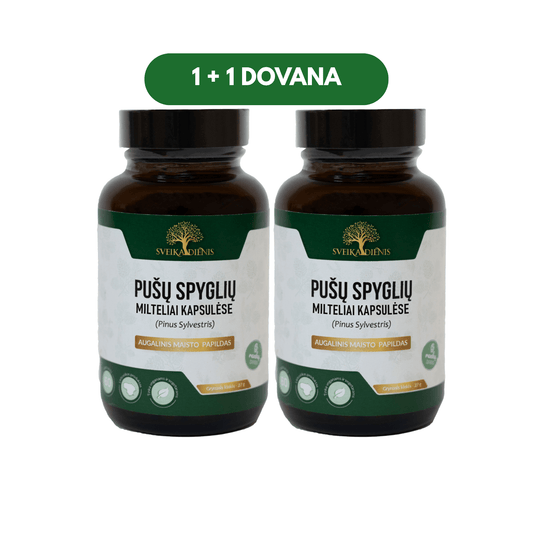Pušų spyglių kapsulės – lengvam kvėpavimui 1+1 - Sveikadienis