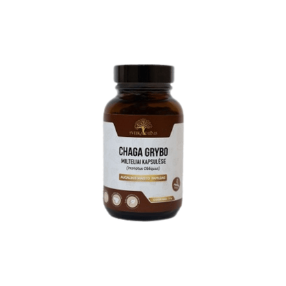 Rinkinys širdžiai ir nervų sistemai: Chaga grybas + Gudobelių vaisių ekstraktas - Sveikadienis