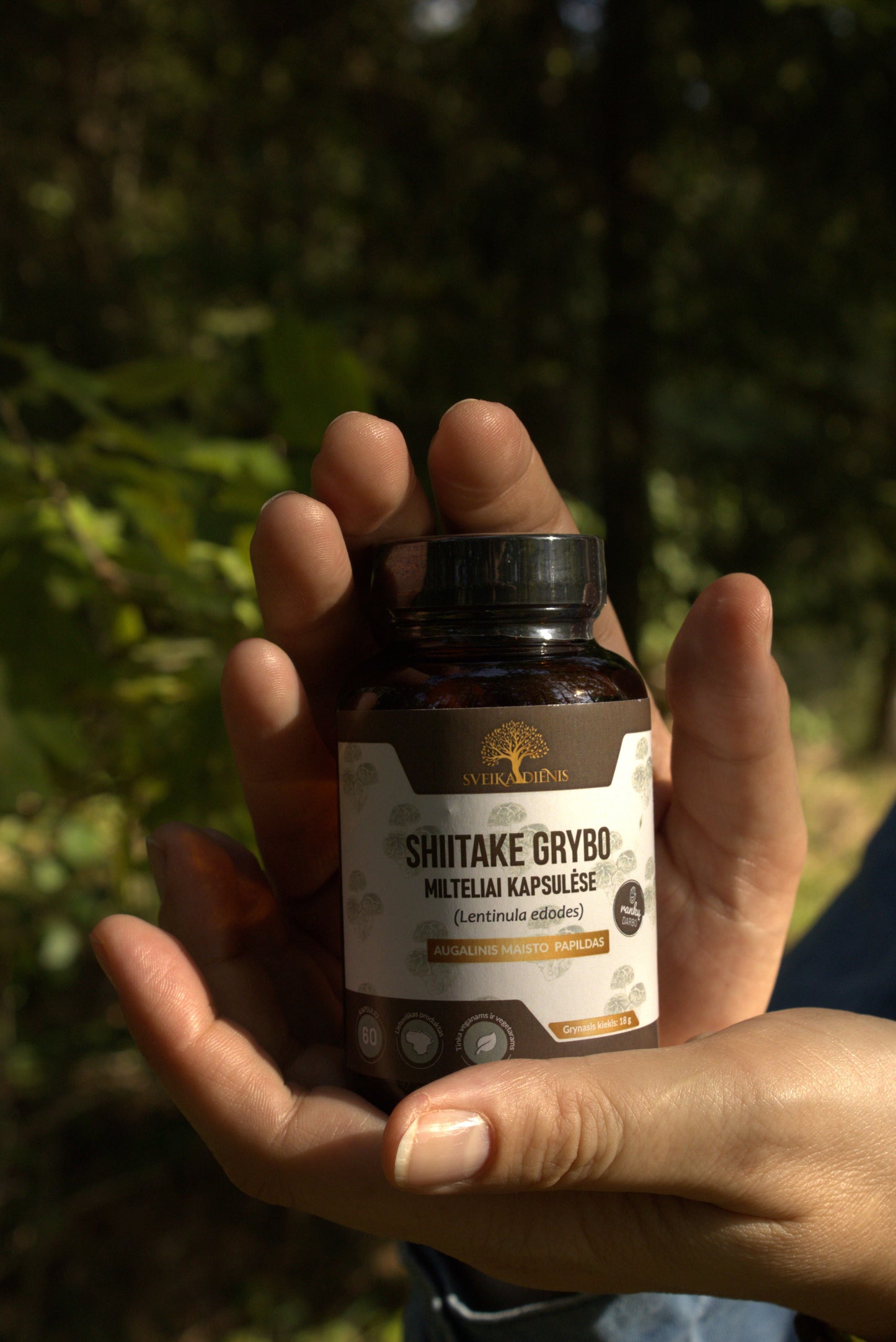 Shiitake grybas kapsulėse – energijai - Sveikadienis