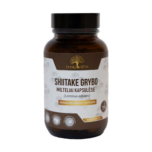 Shiitake grybas
