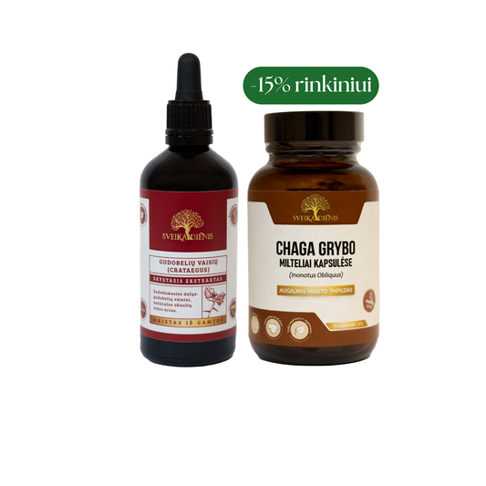 Rinkinys širdžiai ir nervų sistemai: Chaga grybas + Gudobelių vaisių ekstraktas