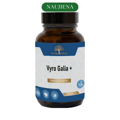 Vyro Galia + - prostatos komfortui, vyriškam gyvybingumui ir energijai - Sveikadienis